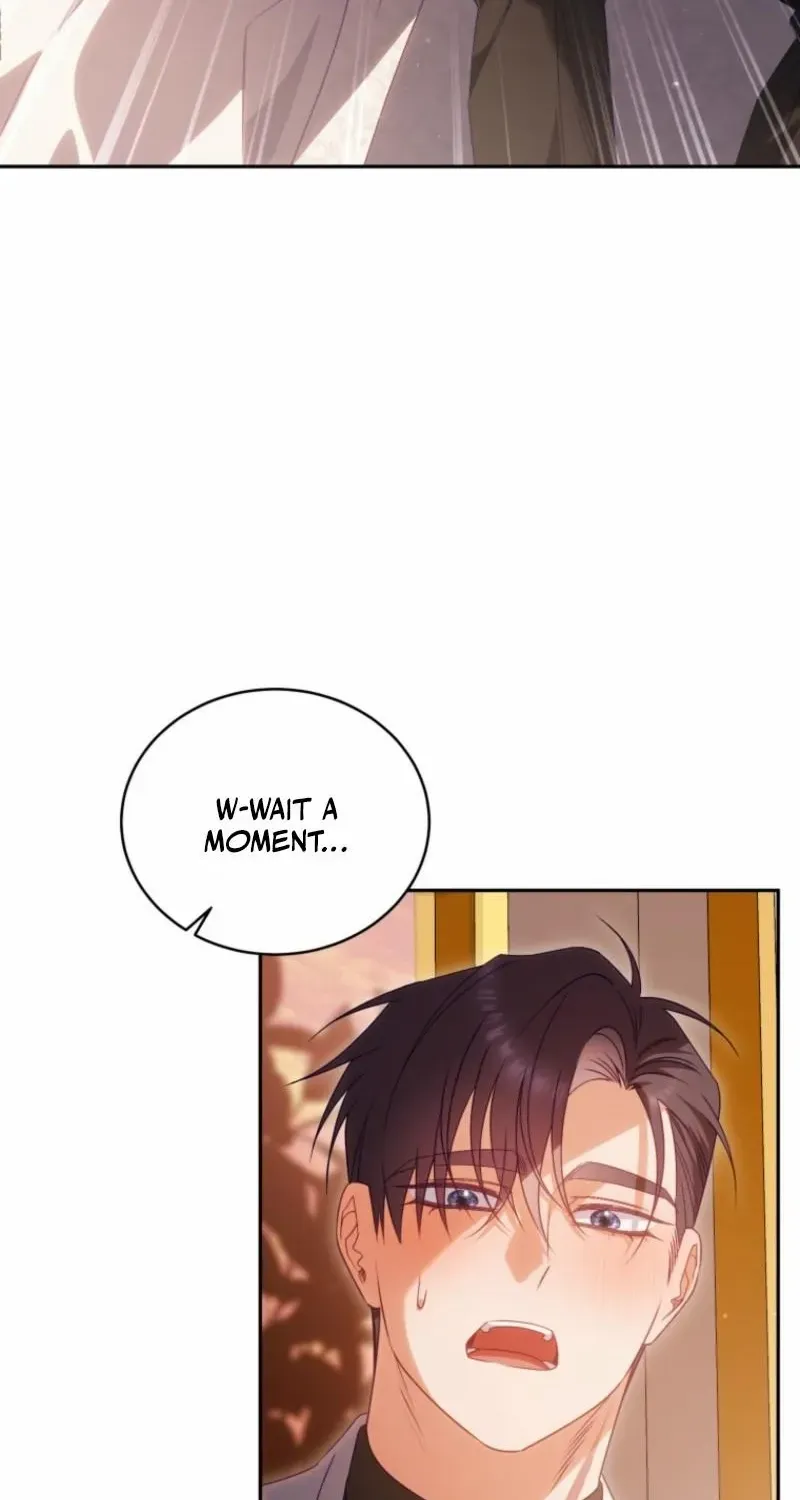 Honey, I Believe That’s Your Misunderstanding Chapter 41 page 14 - 