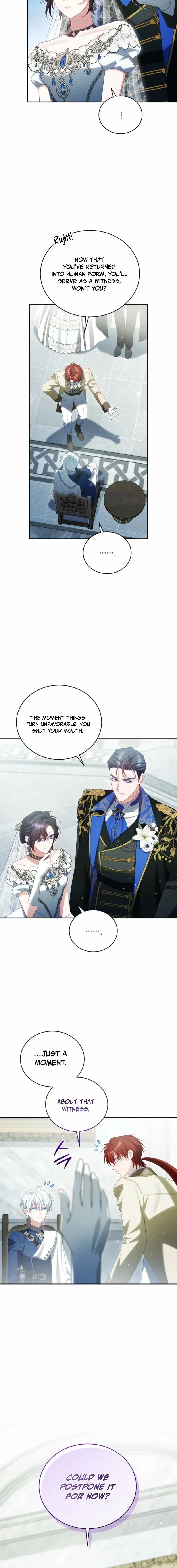 Honey, I Believe That’s Your Misunderstanding Chapter 48 page 9 - 