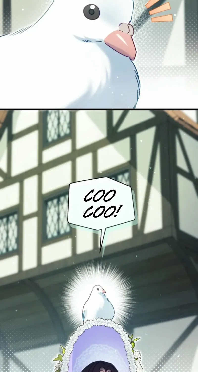 Honey, I Believe That’s Your Misunderstanding Chapter 6 page 54 - 