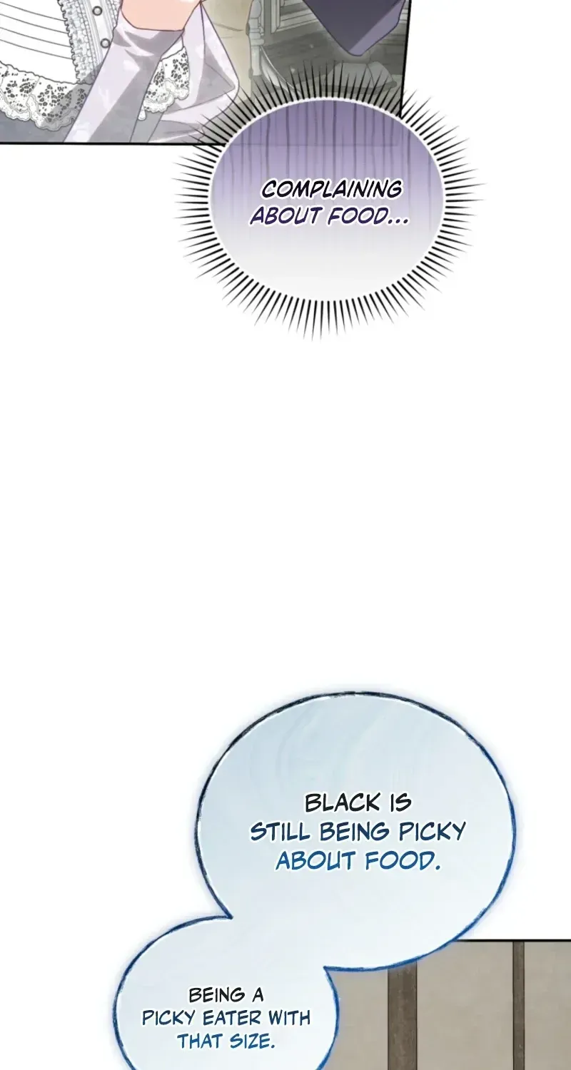 Honey, I Believe That’s Your Misunderstanding Chapter 60 page 41 - 