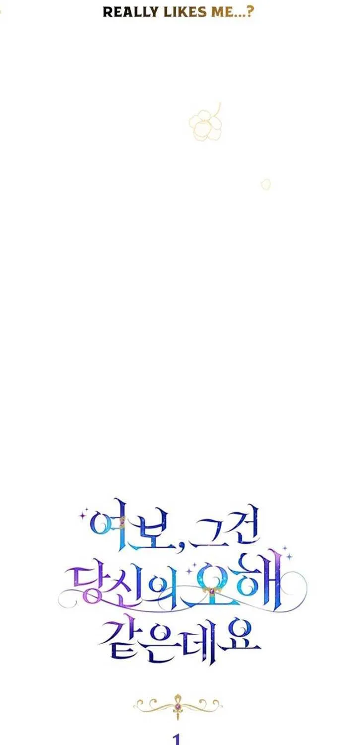 Honey, I Think That’s a Misunderstanding Chapter 1 page 31 - 