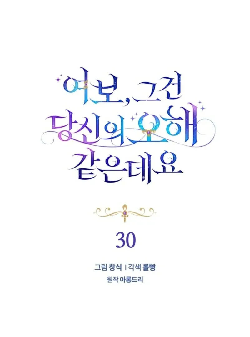 Honey, I Think That’s a Misunderstanding Chapter 30 page 29 - 