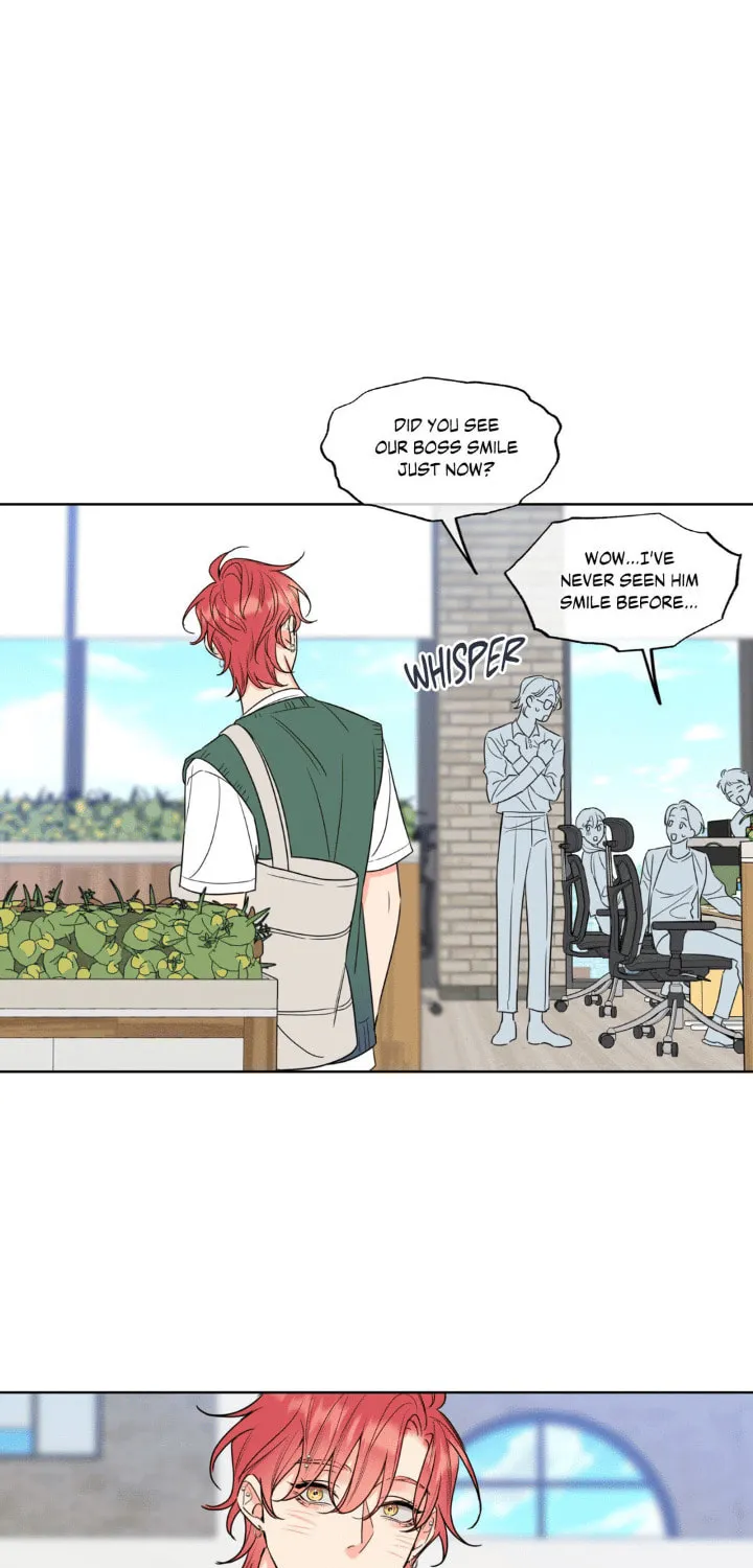 Honey Trouble Chapter 17 page 24 - 
