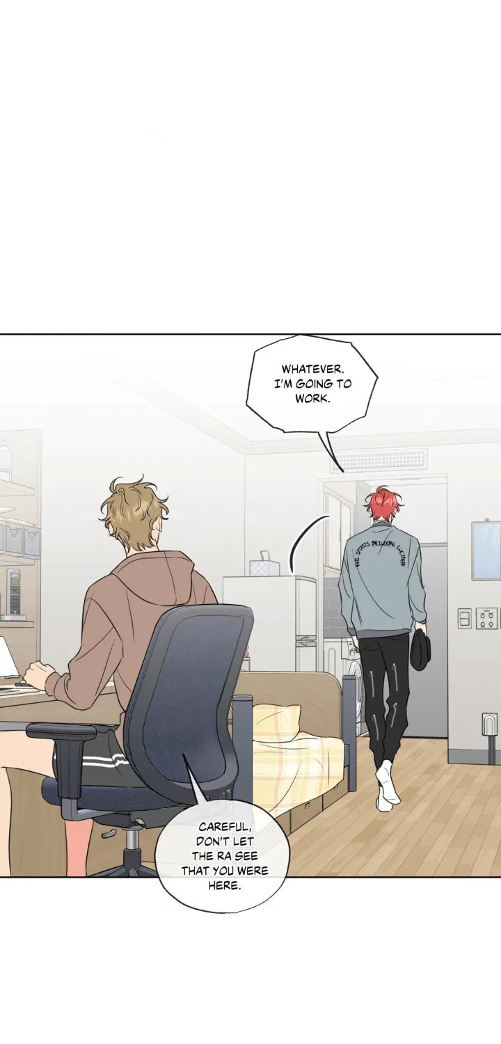 Honey Trouble Chapter 28 page 8 - 