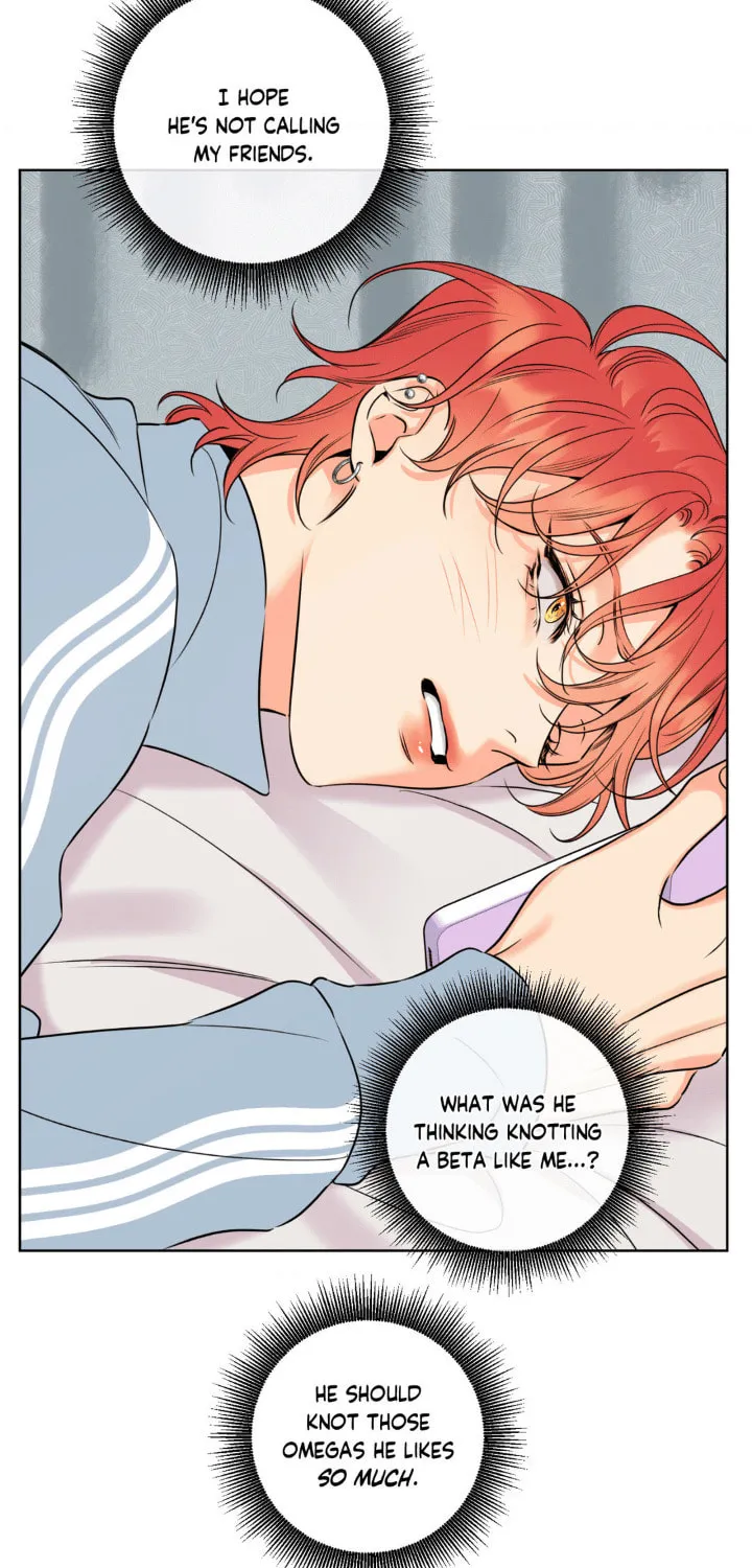 Honey Trouble Chapter 31 page 64 - 