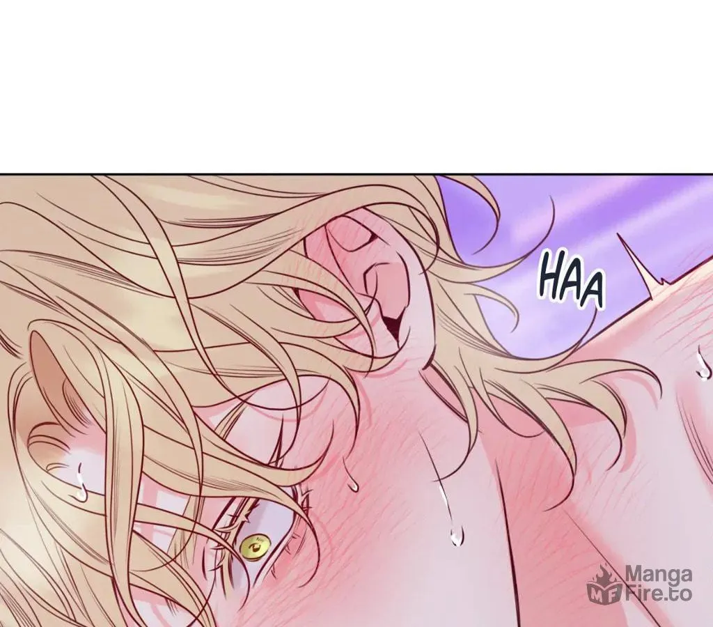 Honey Trouble Chapter 36 page 80 - 