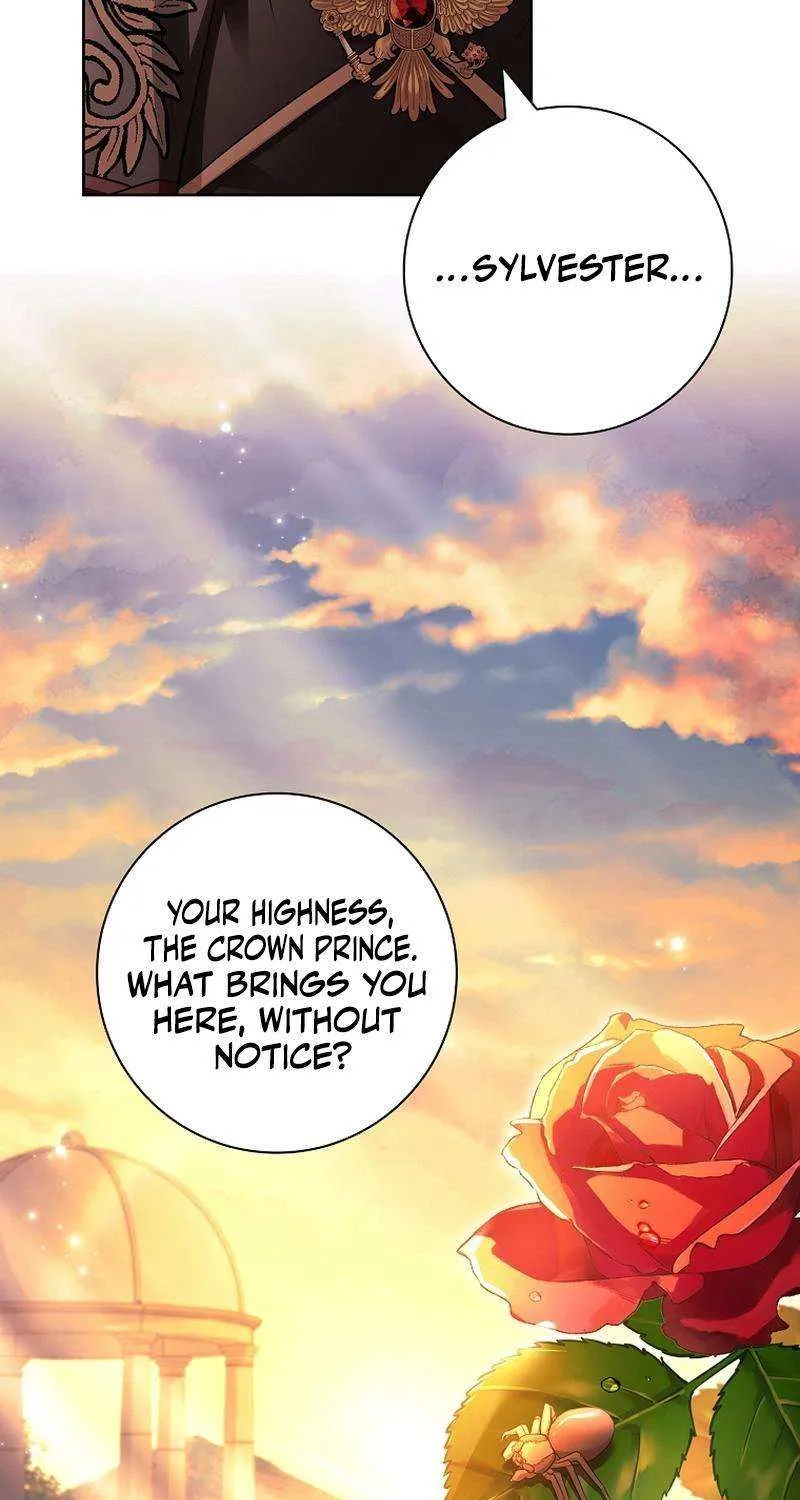 Honey, Why Can’t We Get A Divorce? Chapter 22 page 71 - 