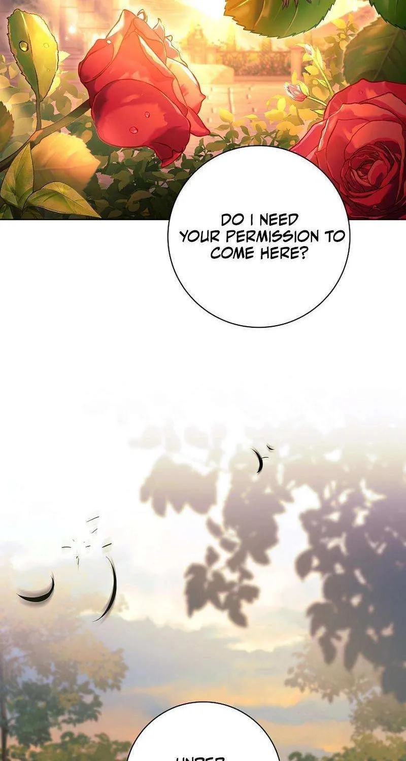 Honey, Why Can’t We Get A Divorce? Chapter 22 page 72 - 