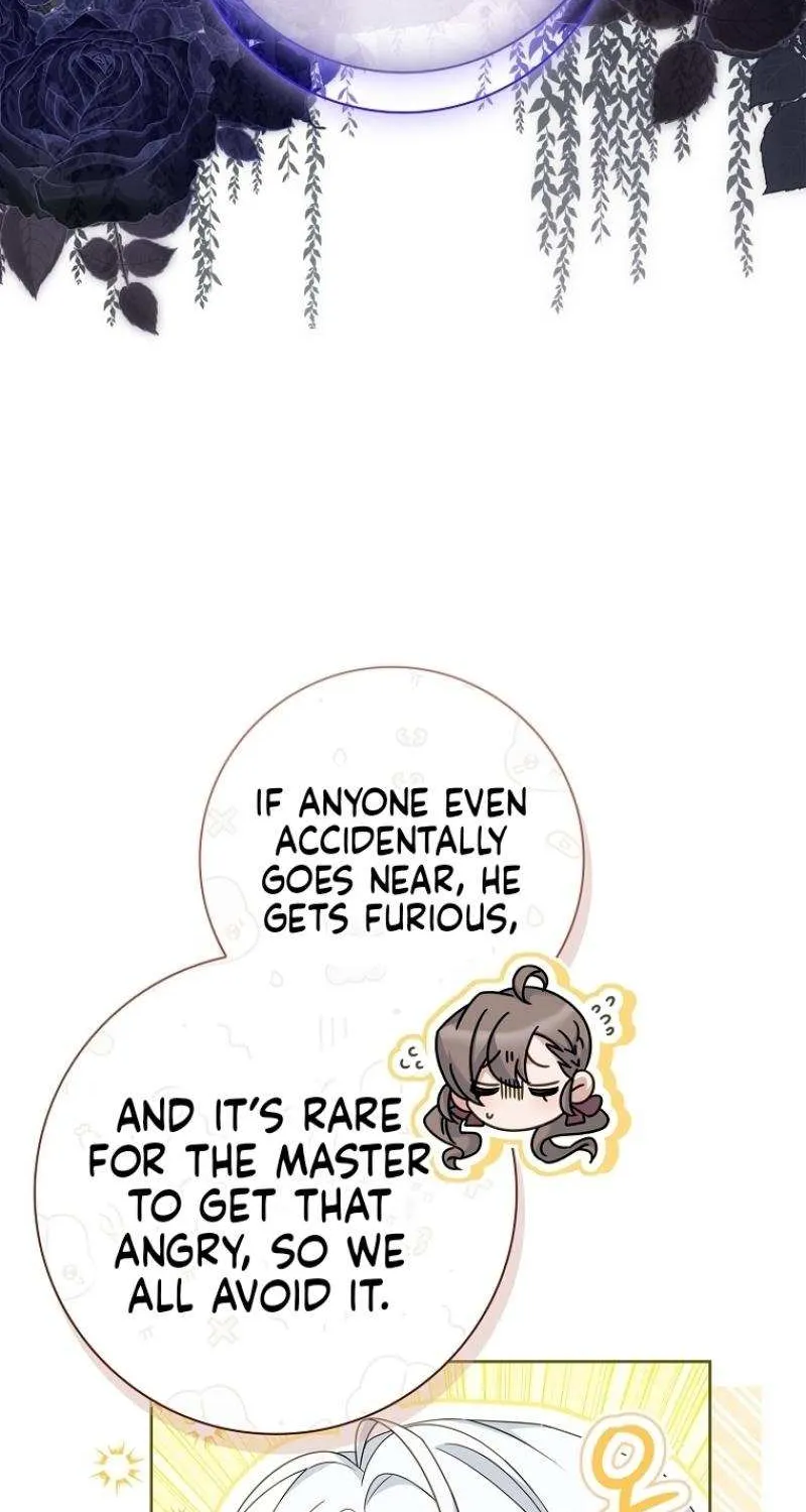 Honey, Why Can’t We Get A Divorce? Chapter 23 page 81 - 