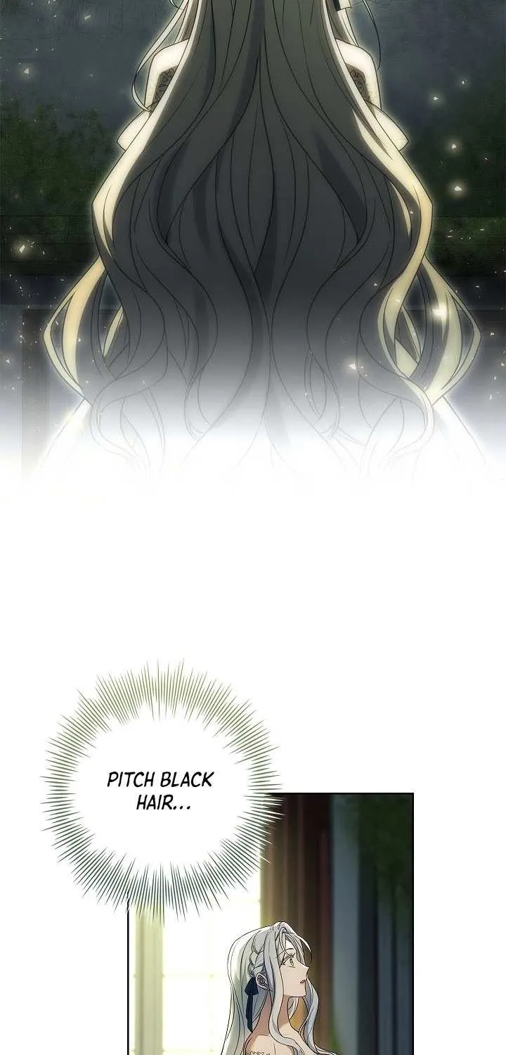 Honey, Why Can’t We Get A Divorce? Chapter 24 page 13 - 