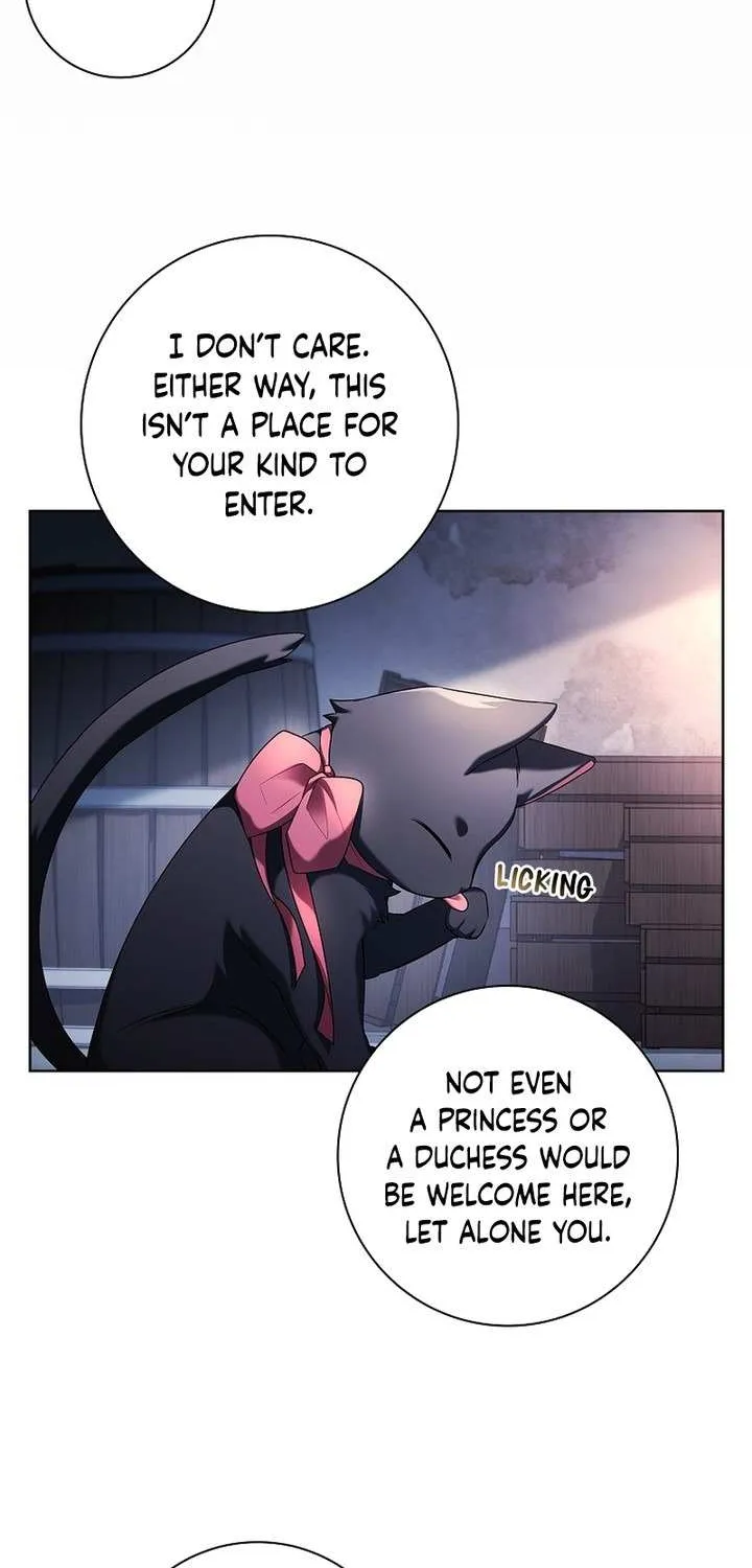 Honey, Why Can’t We Get A Divorce? Chapter 25 page 38 - 