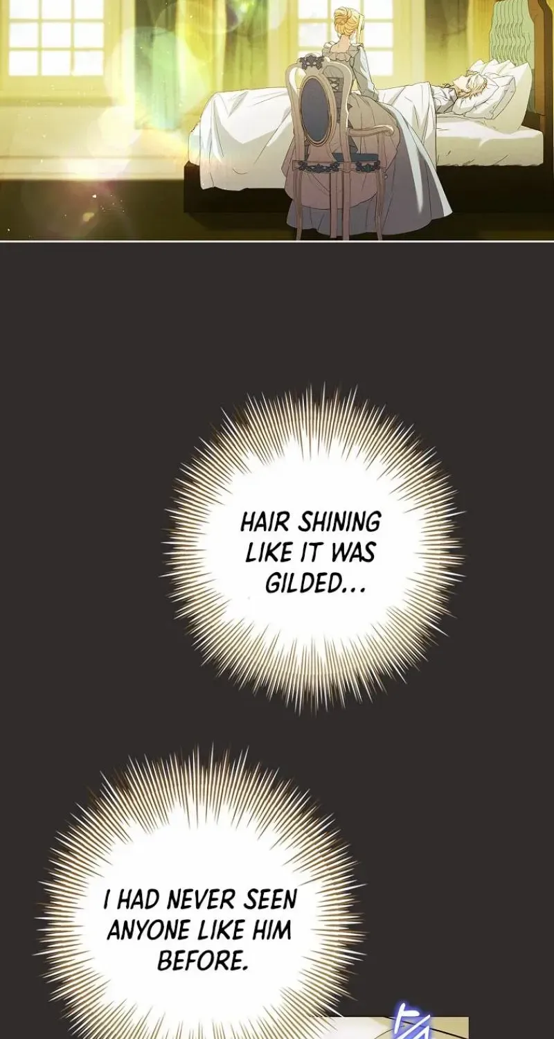 Honey, Why Can’t We Get A Divorce? Chapter 28 page 51 - 