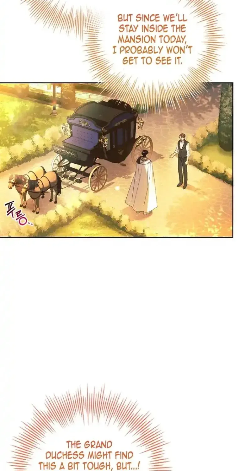 Honey, Why Can’t We Get A Divorce? Chapter 32 page 47 - 