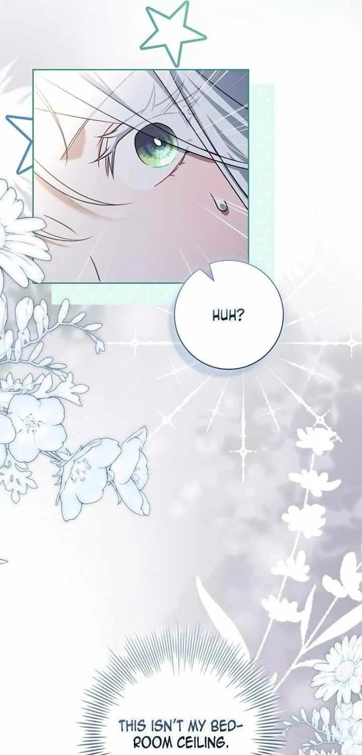 Honey, Why Can’t We Get A Divorce? Chapter 43 page 37 - 