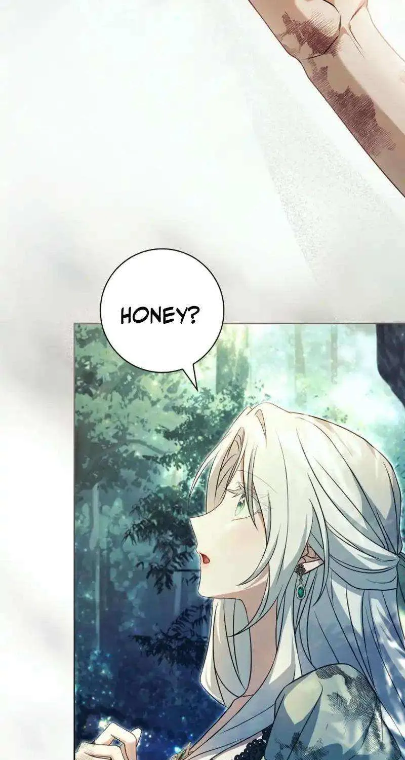Honey, Why Can’t We Get A Divorce? Chapter 52 page 47 - 
