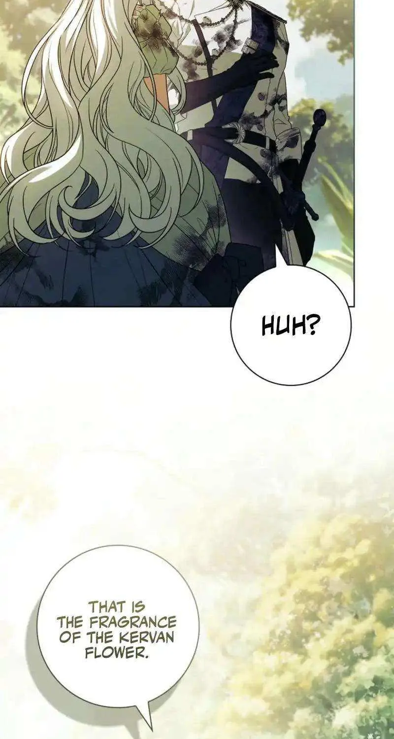 Honey, Why Can’t We Get A Divorce? Chapter 52 page 64 - 