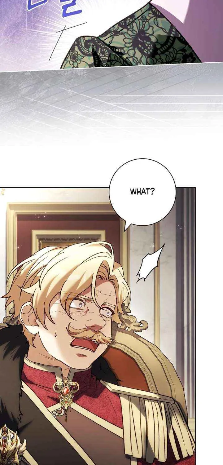 Honey, Why Can’t We Get A Divorce? Chapter 62 page 33 - 