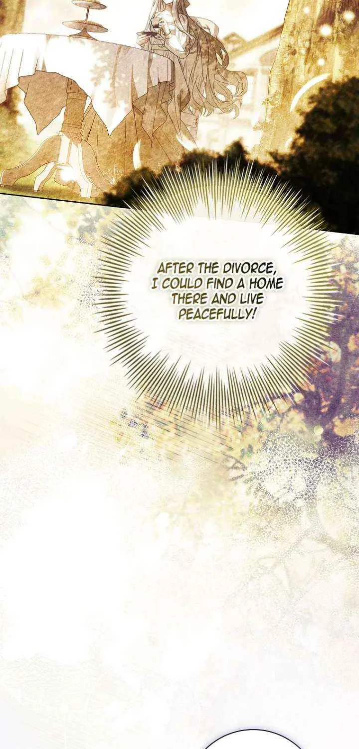 Honey, Why Can’t We Get A Divorce? Chapter 66 page 28 - 