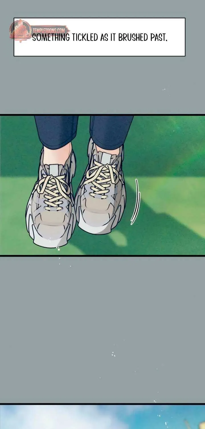 How Far Are You Okay With? Chapter 51 page 47 - 