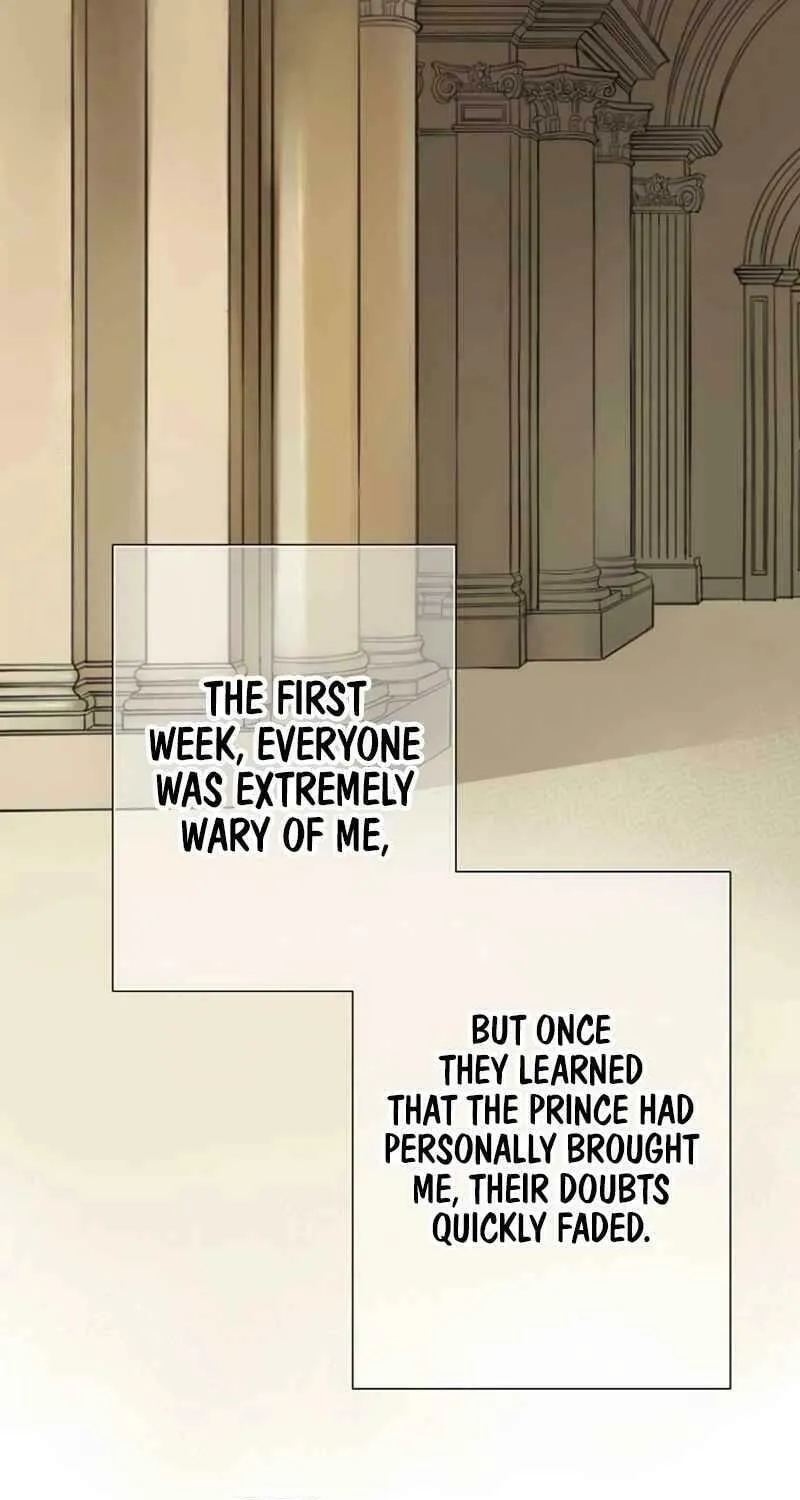 How He Got Divorced Chapter 12 page 25 - 