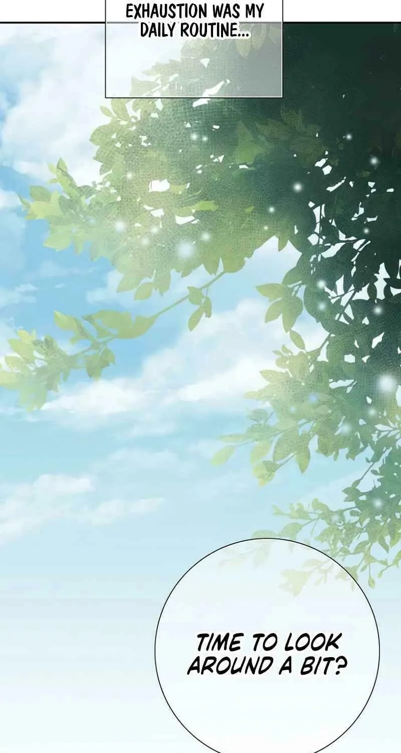How He Got Divorced Chapter 12 page 77 - 