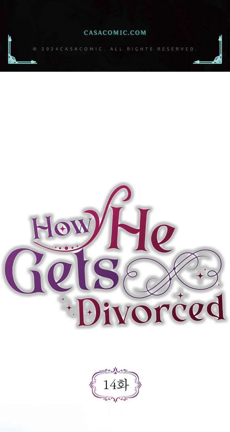 How He Got Divorced Chapter 14 page 2 - 
