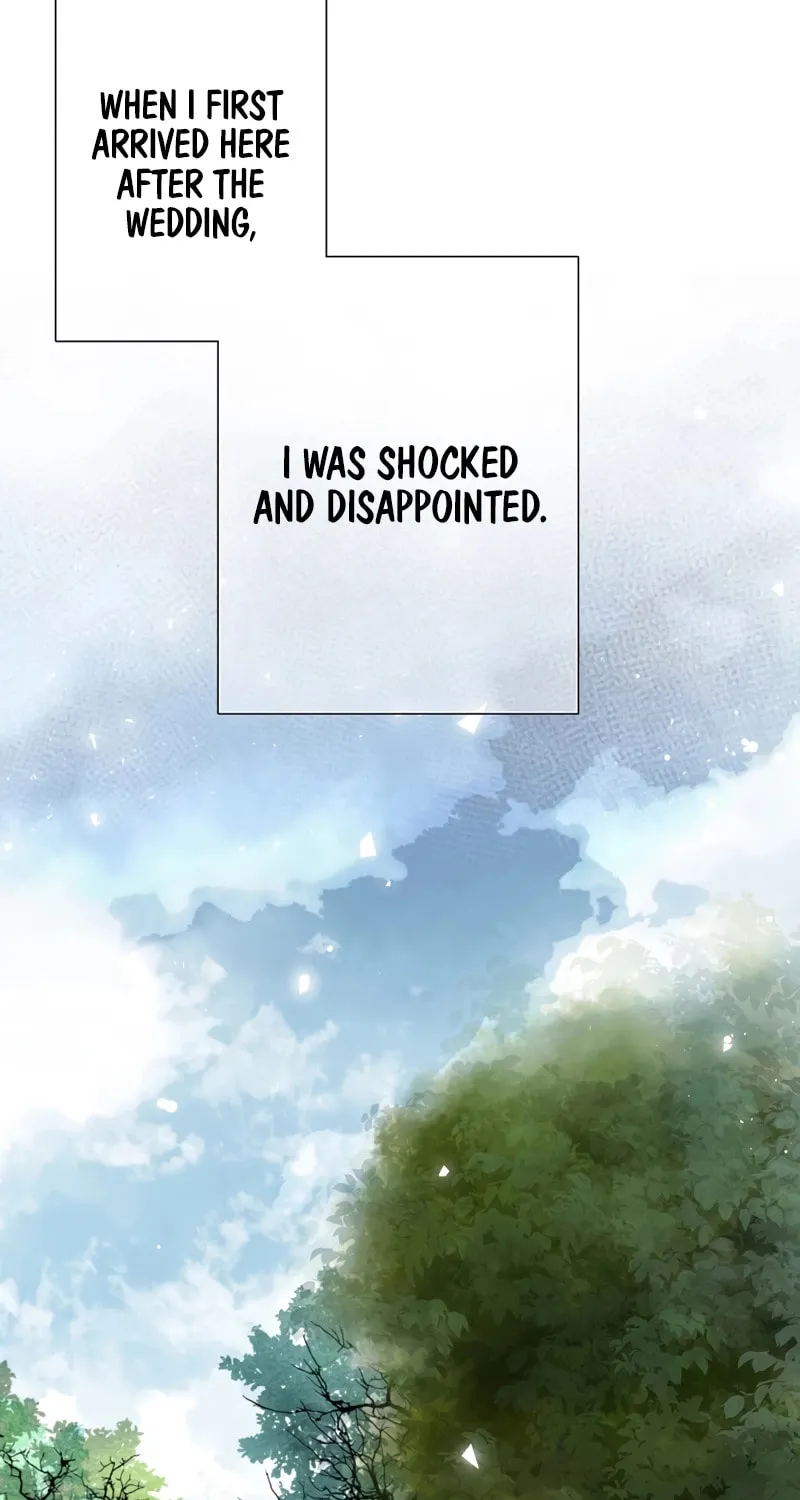 How He Got Divorced Chapter 3 page 3 - 