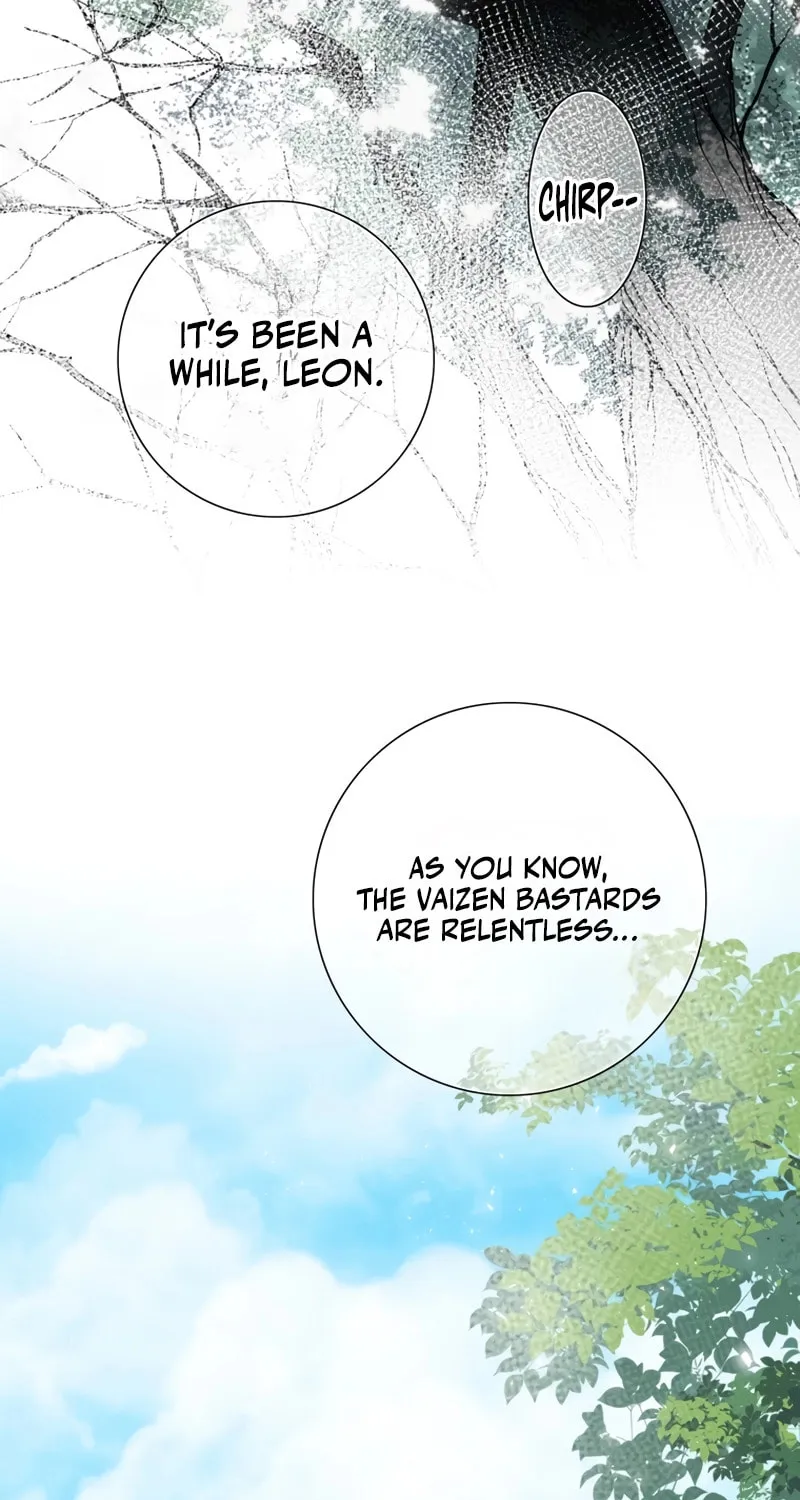 How He Got Divorced Chapter 4 page 5 - 