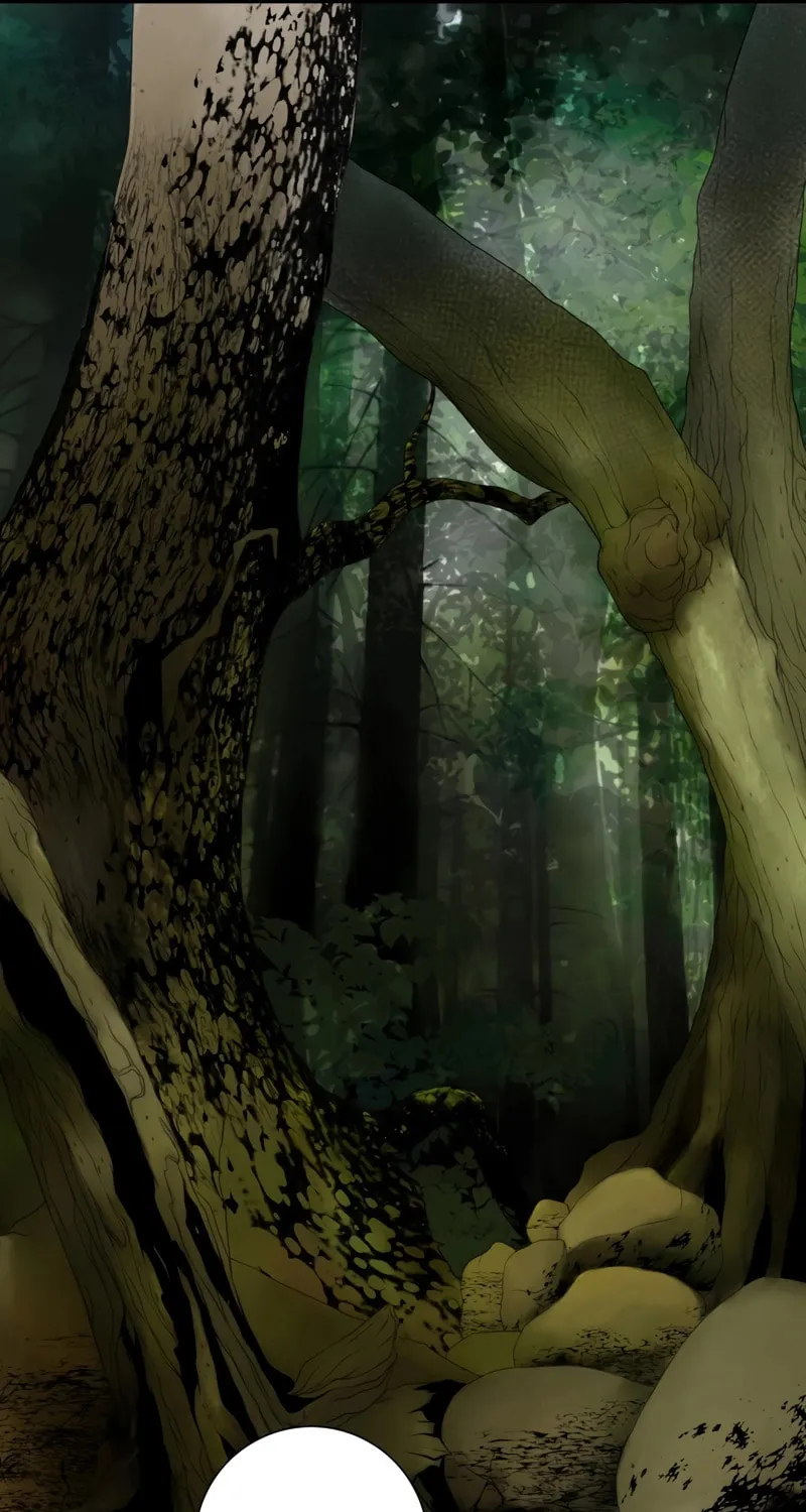 How He Got Divorced Chapter 4 page 81 - 