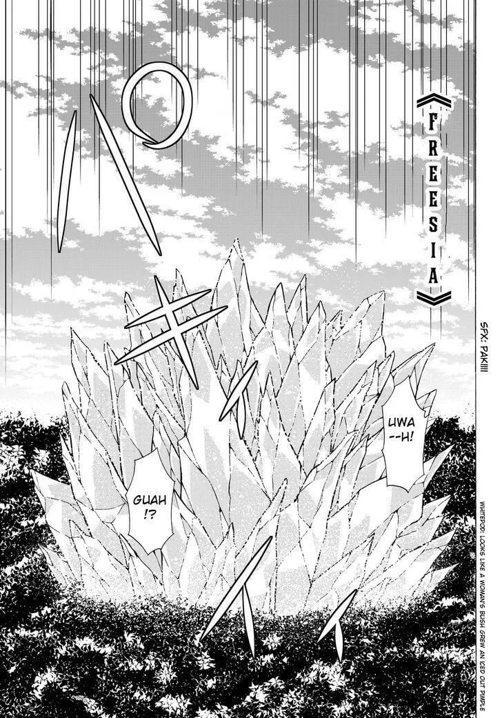 How NOT to Summon a Demon Lord Chapter 8.2 page 4 - 