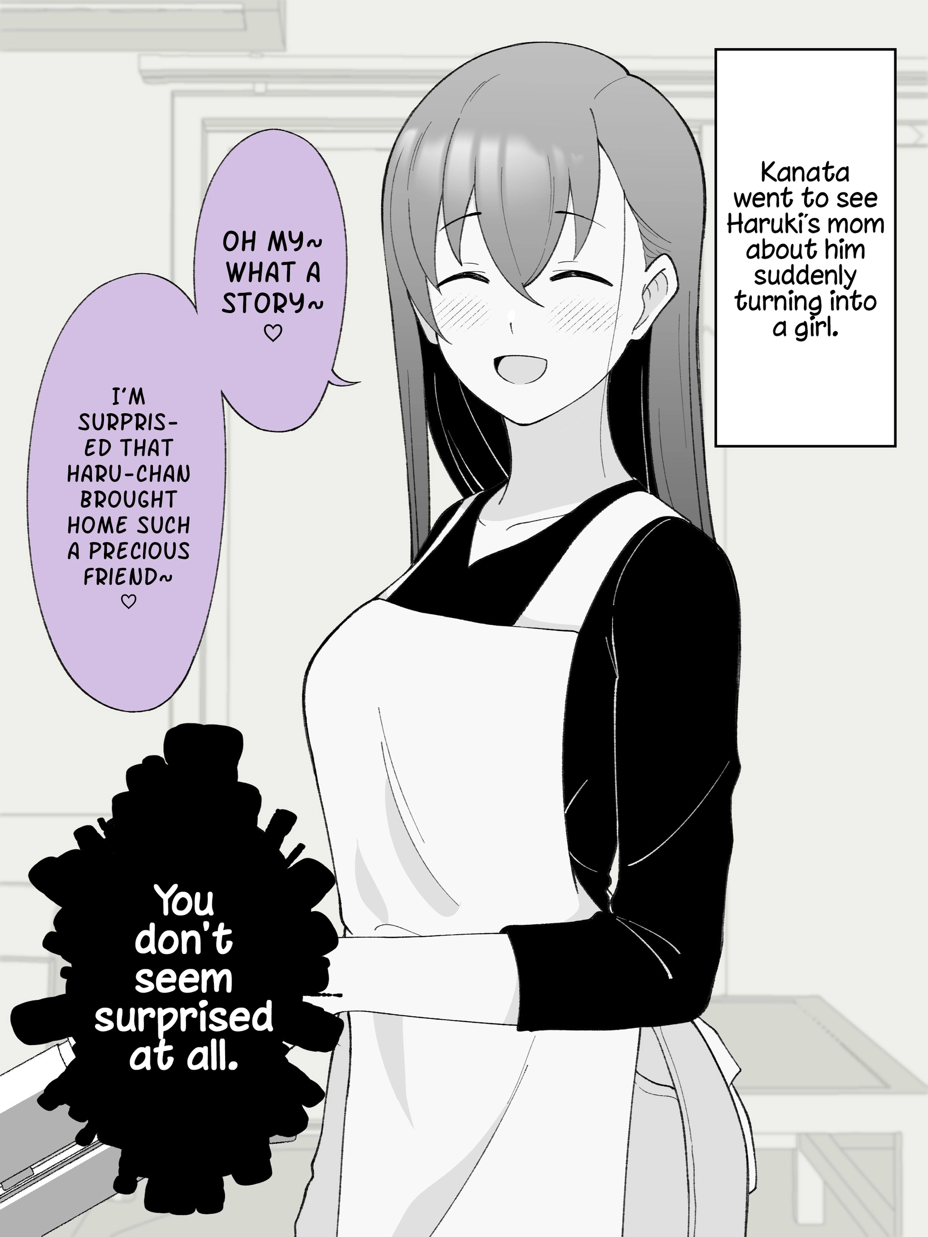 How the Little Brother Who Turned Into a Girl Became His Big Brother