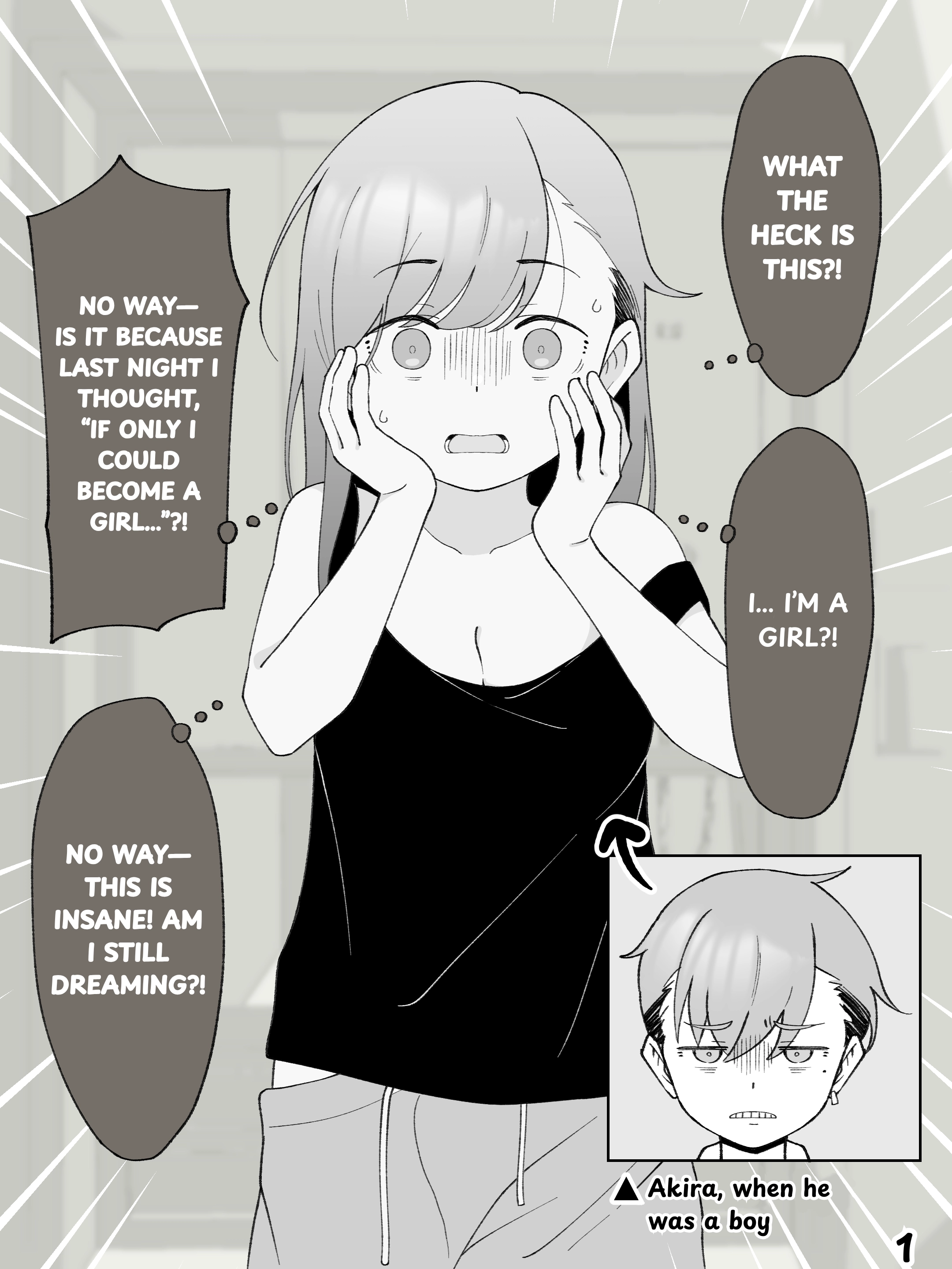 How the Little Brother Who Turned Into a Girl Became His Big Brother