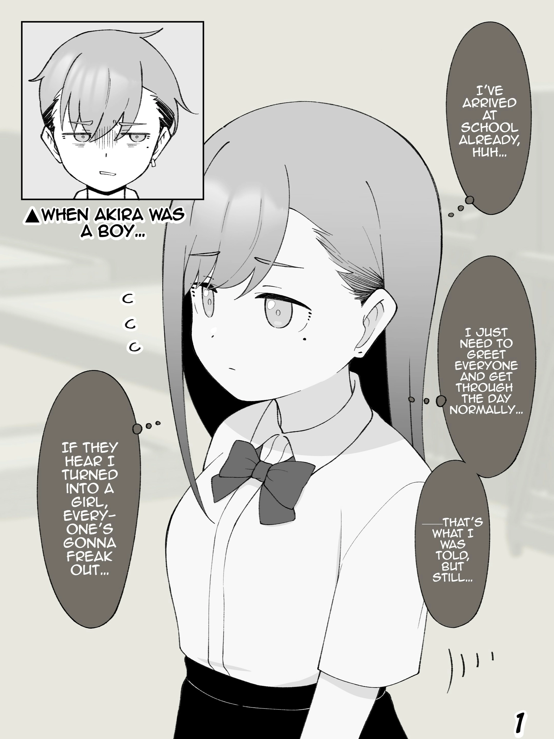 How the Little Brother Who Turned Into a Girl Became His Big Brother