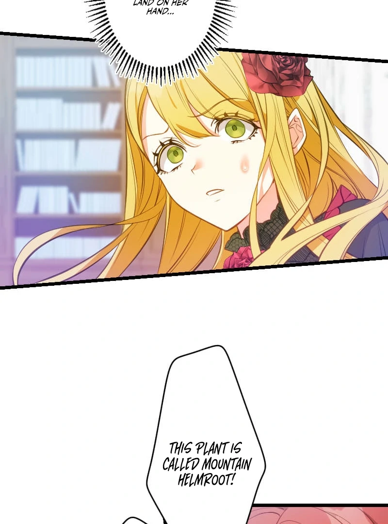 How to be Doted Again by the Cold-Hearted Grand Duke Chapter 11 page 76 - 