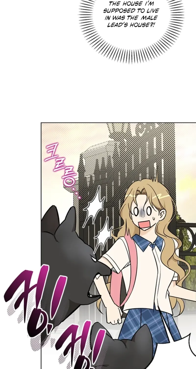 How to Dial Down a Gangster Male Lead Chapter 1 page 136 - 