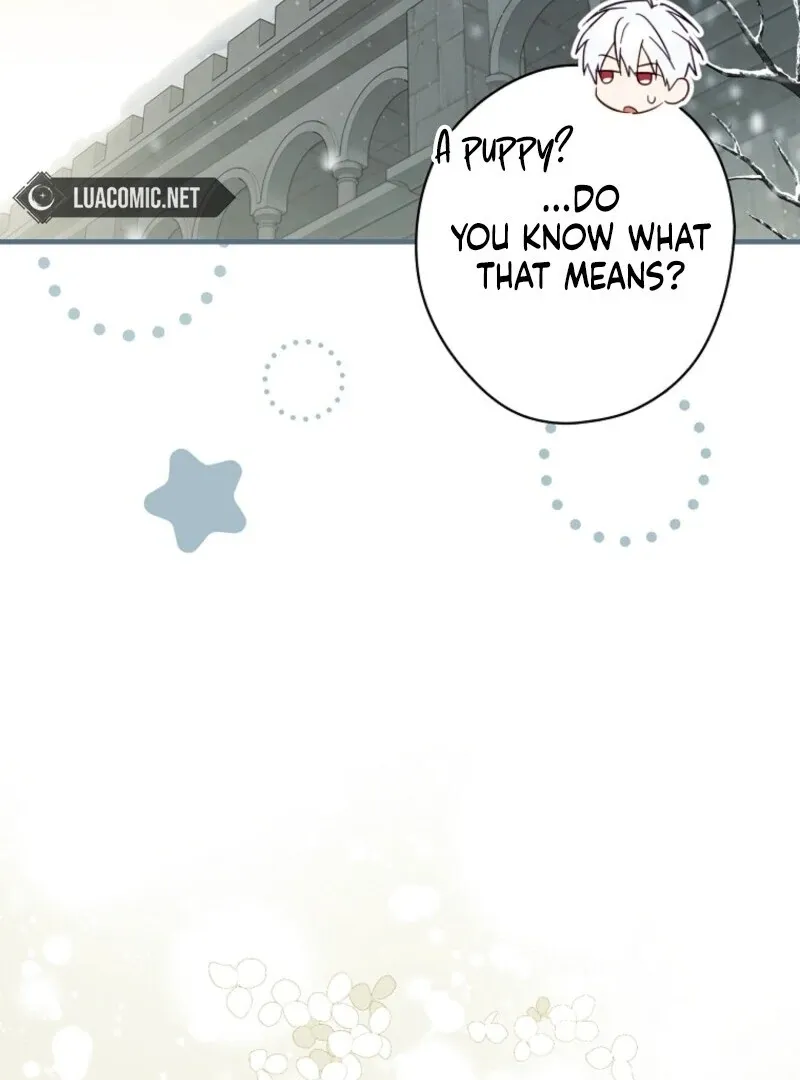 How to Get My Husband on My Side Chapter 116 page 33 - 