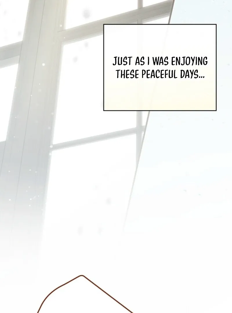 How to Get My Husband on My Side Chapter 126 page 4 - 