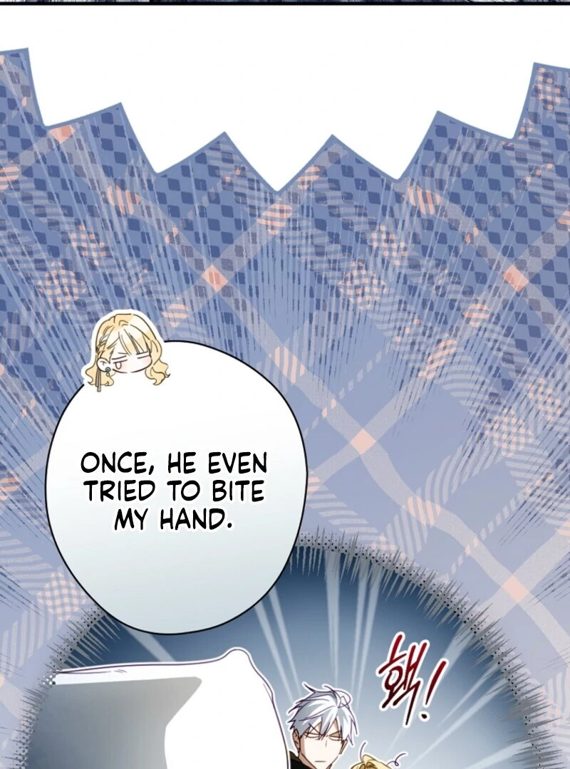 How to Get My Husband on My Side Chapter 131 page 92 - 