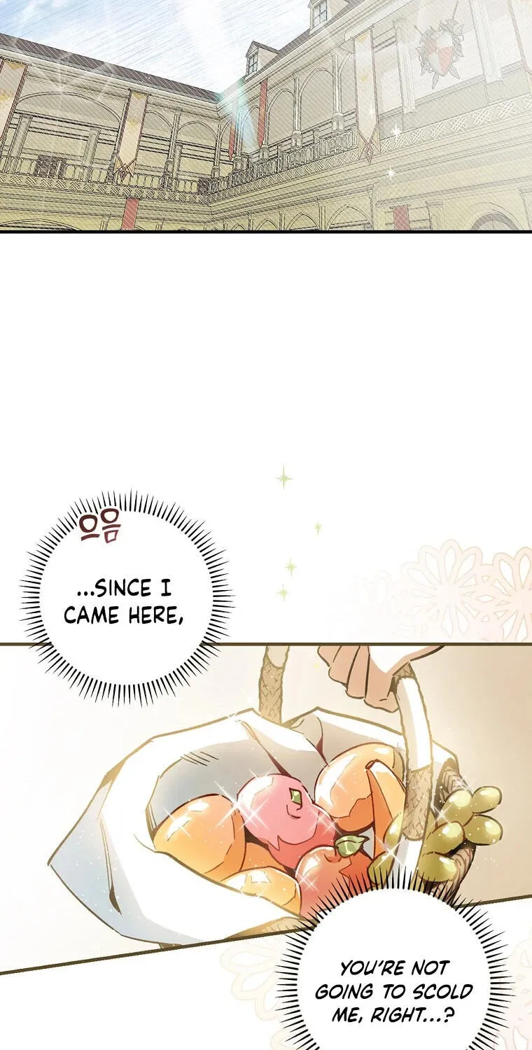 How to Get My Husband on My Side Chapter 7 page 2 - 