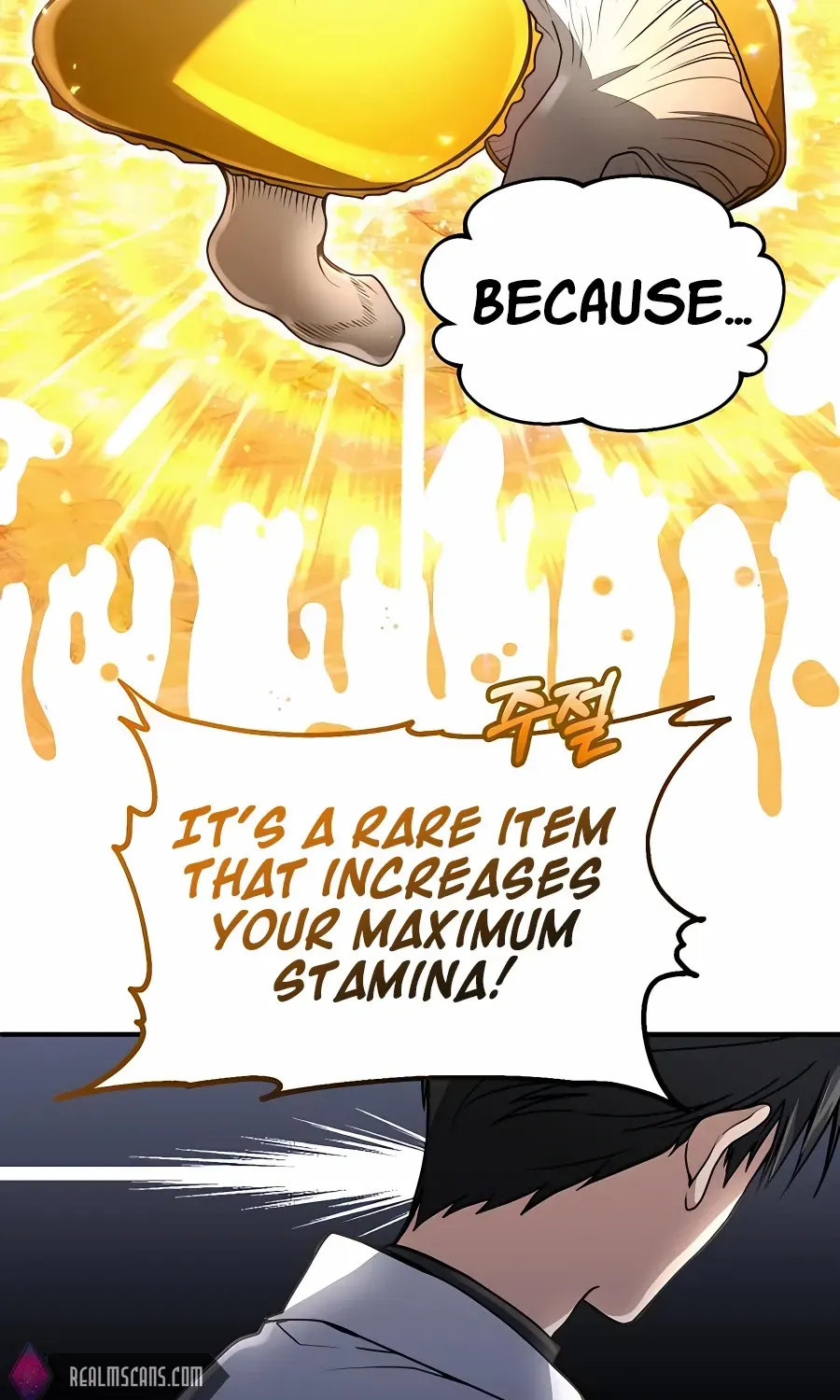 How to Live as a Bootleg Healer Chapter 18 page 71 - 