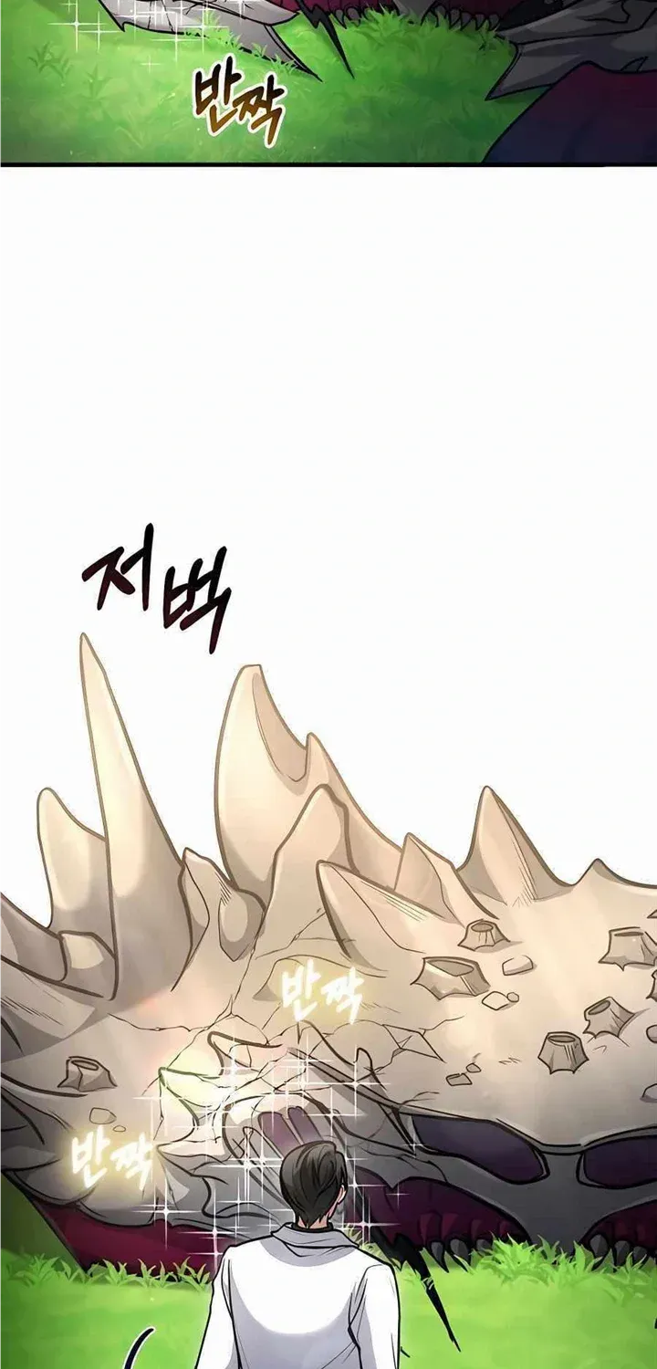 How to Live as a Bootleg Healer Chapter 38 page 13 - 