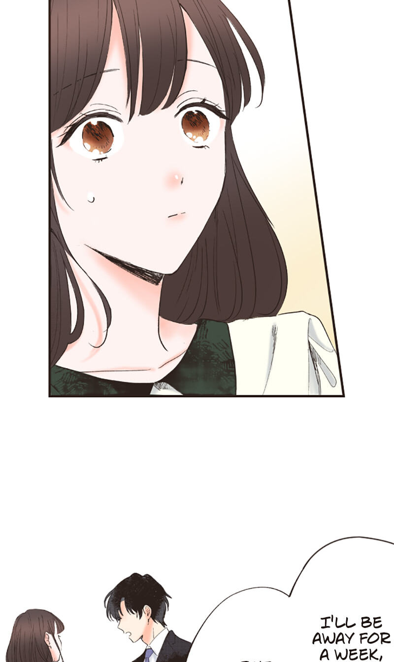 How to Make My Calm and Collected Husband Fall in Love With Me Chapter 13 page 15 - 