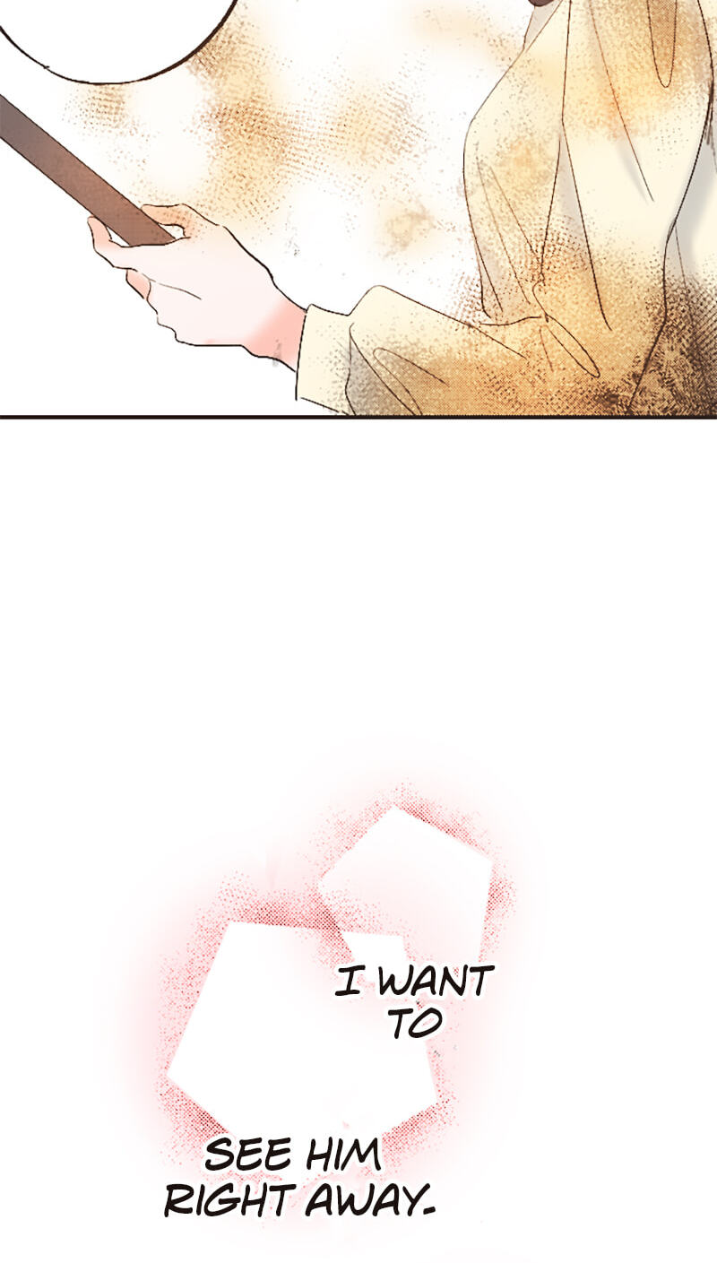 How to Make My Calm and Collected Husband Fall in Love With Me Chapter 14 page 15 - 