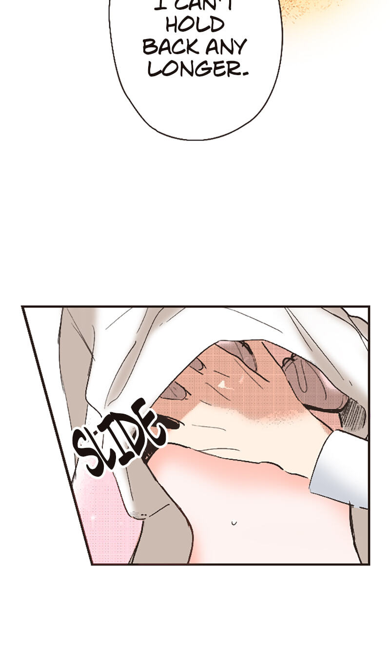 How to Make My Calm and Collected Husband Fall in Love With Me Chapter 17 page 27 - 