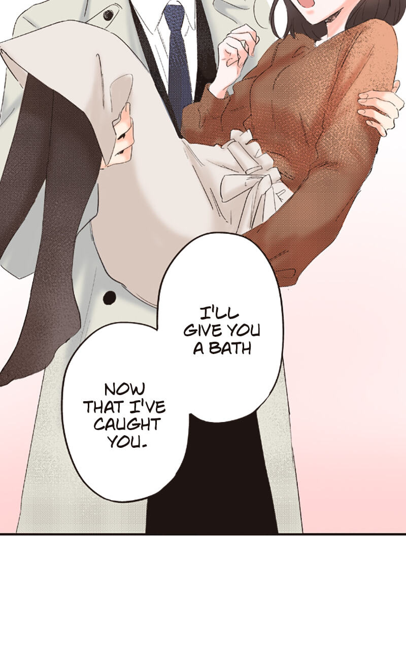 How to Make My Calm and Collected Husband Fall in Love With Me Chapter 21 page 12 - 