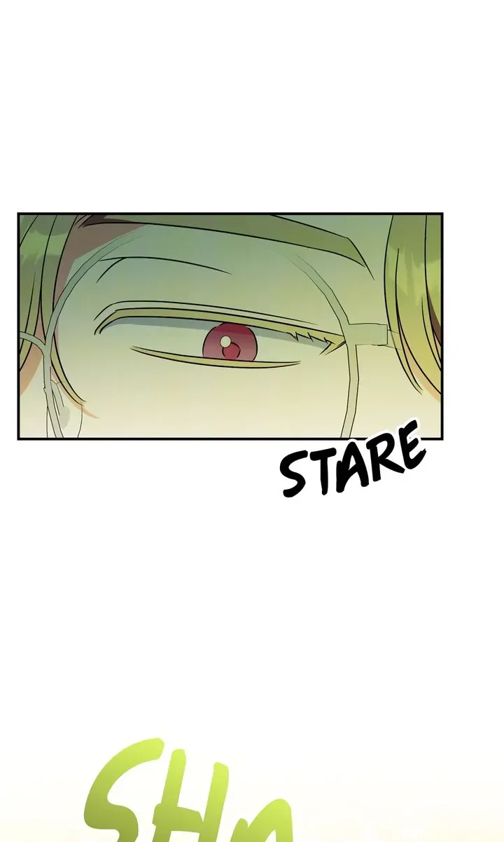How to Protect the Master of the Monster Mansion Chapter 20 page 26 - 
