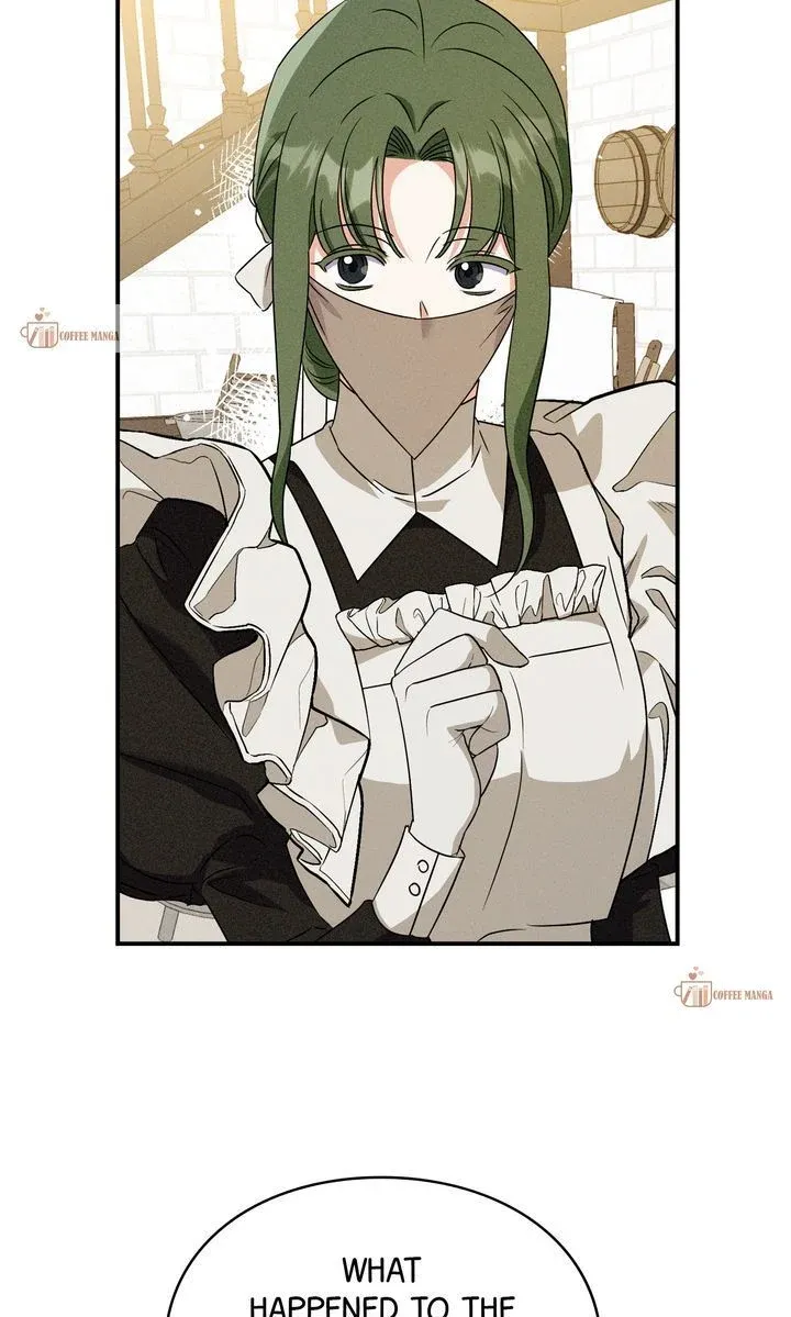 How to Protect the Master of the Monster Mansion Chapter 21 page 27 - 