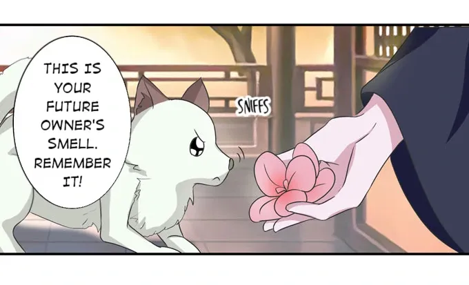 How to Raise a Cross Dressing Master (Colored) Chapter 41 page 11 - 