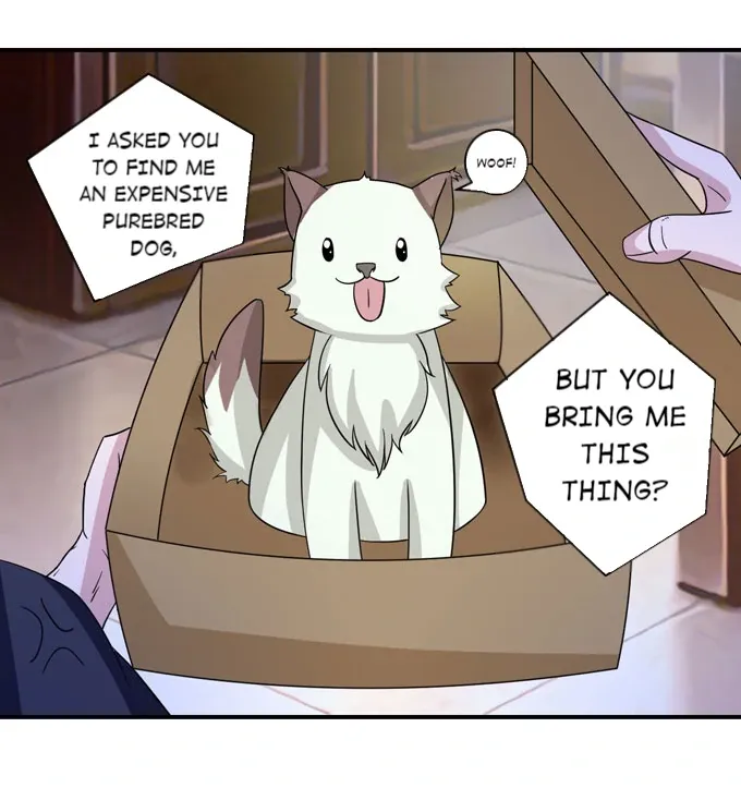 How to Raise a Cross Dressing Master (Colored) Chapter 41 page 3 - 