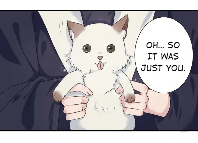 How to Raise a Cross Dressing Master (Colored) Chapter 41 page 40 - 